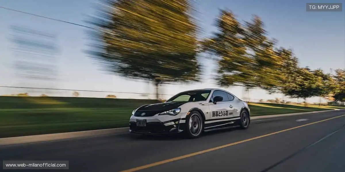 🎯 精准直播,互动不停!💬