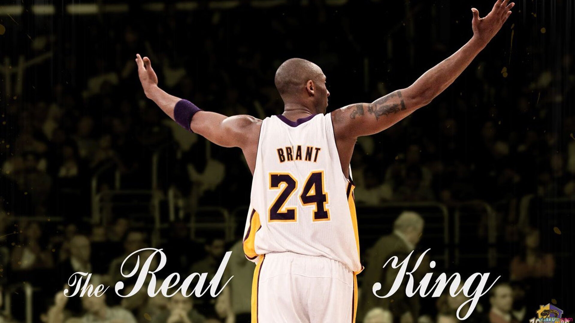 世界杯之后：摩洛哥队回国 被王宫以最高礼仪接见